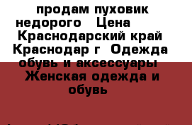 продам пуховик недорого › Цена ­ 800 - Краснодарский край, Краснодар г. Одежда, обувь и аксессуары » Женская одежда и обувь   